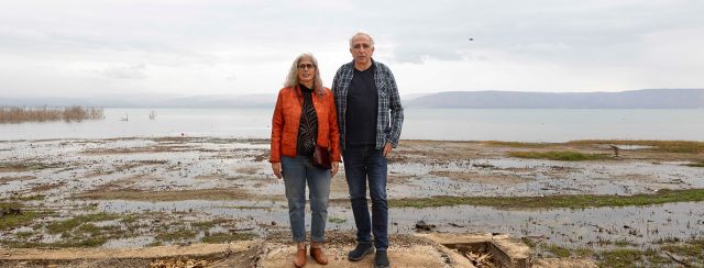 תמר שליט אבני, יפתח במגדלה, 2024