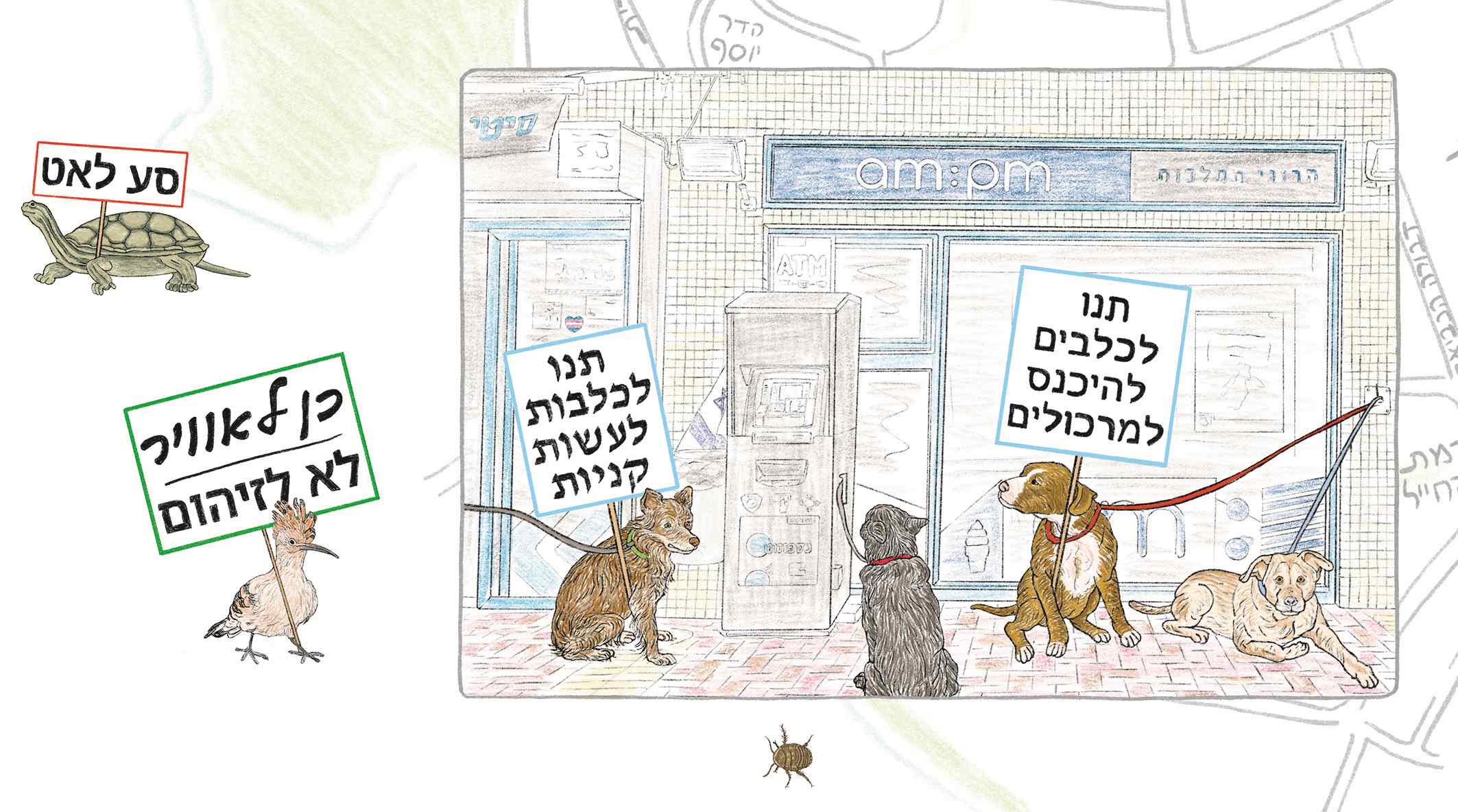 אילנה זפרן