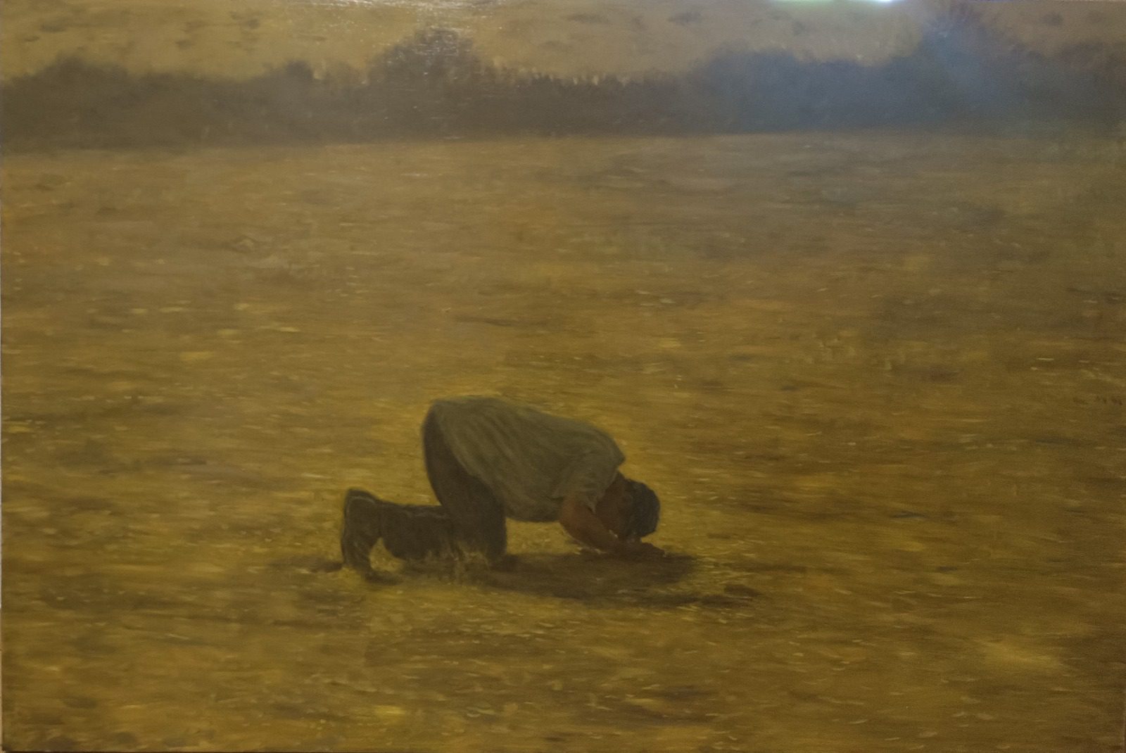 מריון פוקס