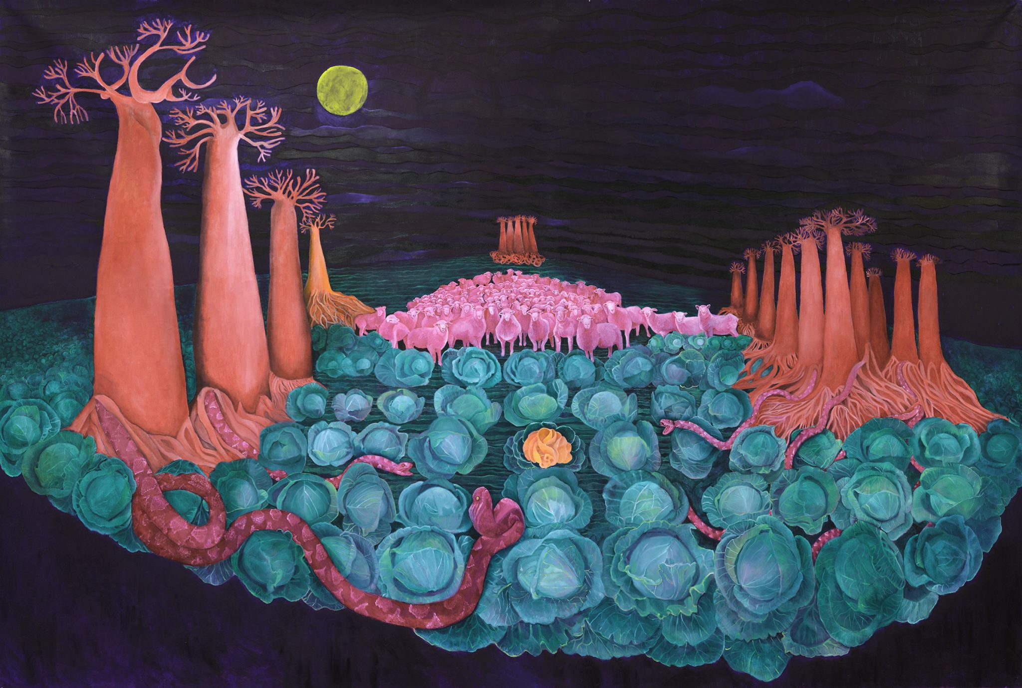 ניבה הר סגור. צילום: ציקי אייזנברג