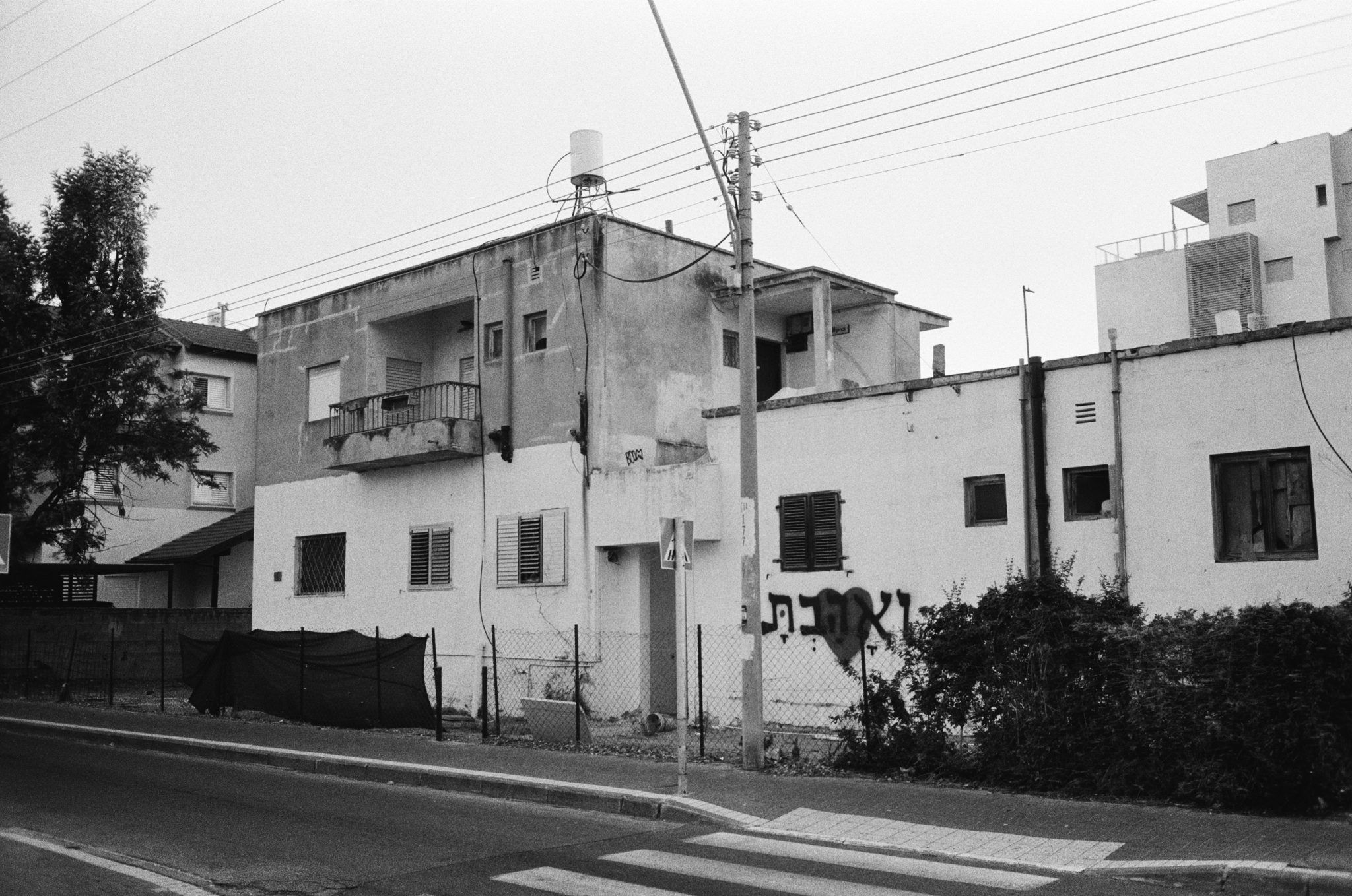 ואהבת