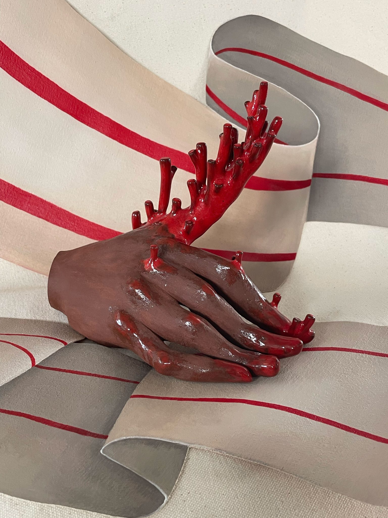 ידיי האלמוגים. צילומים: מ״ל