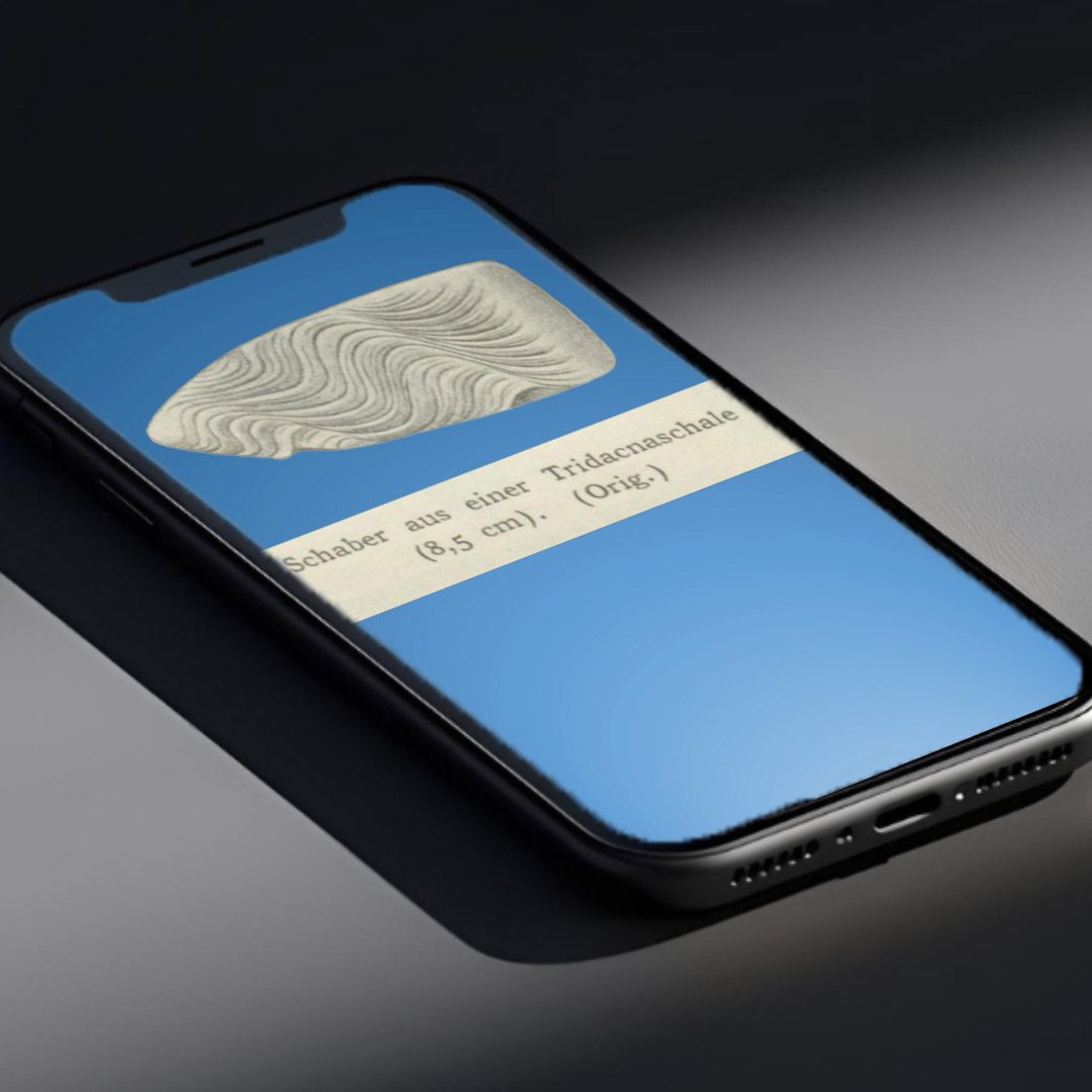 מתוך עבודת וידאו