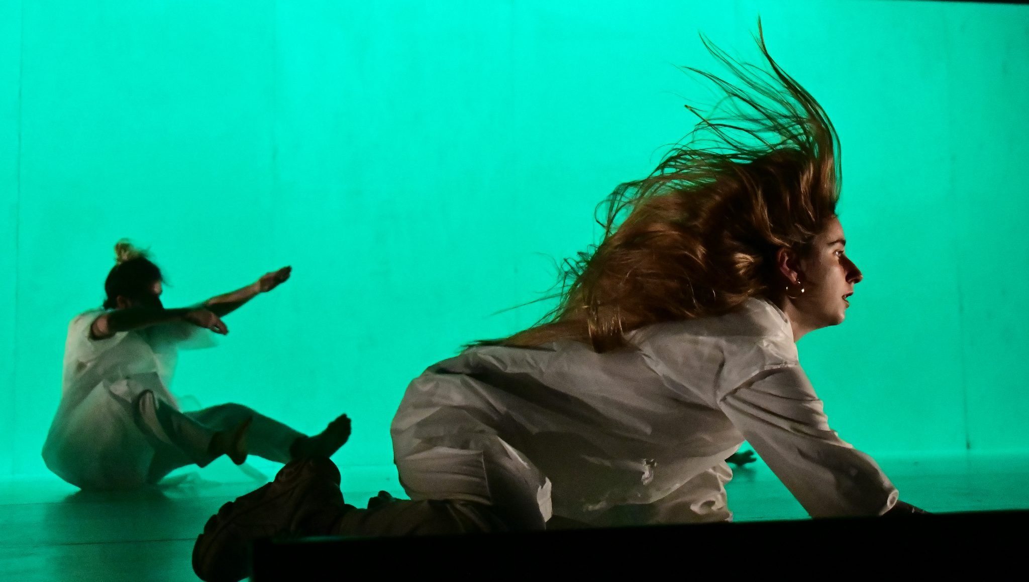 שקד מוכיח. צילום: אבי גולרן