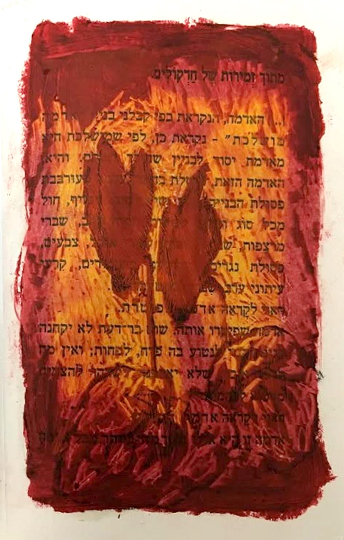 הדר גד