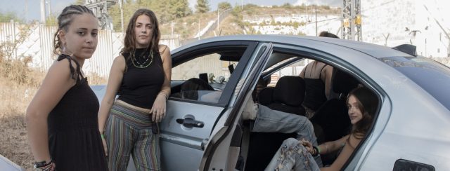שרה מיטל בנימיני ומירון ציוני, זהב פרא