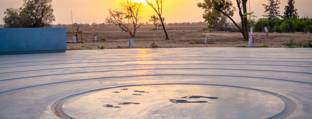 צביקה פסטרנק, עקבות ביבס. צילומים: טליה בן הרוש
