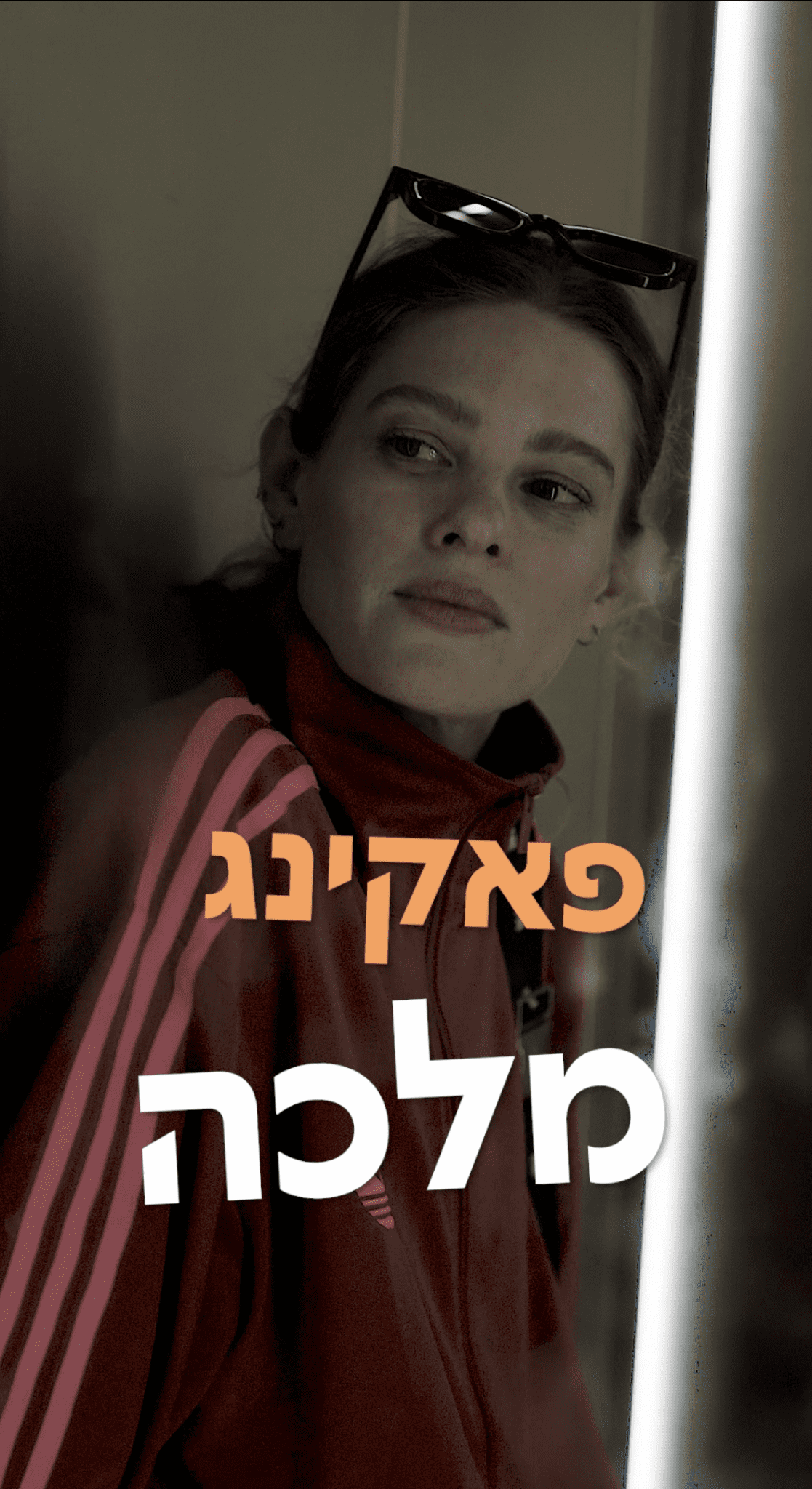 יובל שרף. צילום: תום ברנע, 916