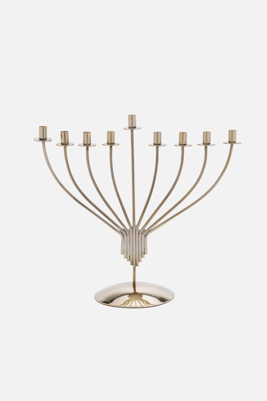פוקס הום. צילומים: טל טרי
