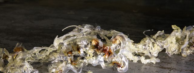 נגה כהן, נסיונות בביו פלסטיק מתכלה. צילומים: מ״ל