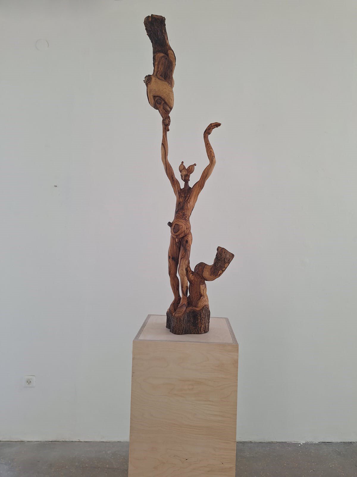 נמרוד ראובני. צילום: עינת סיני פסטרנק