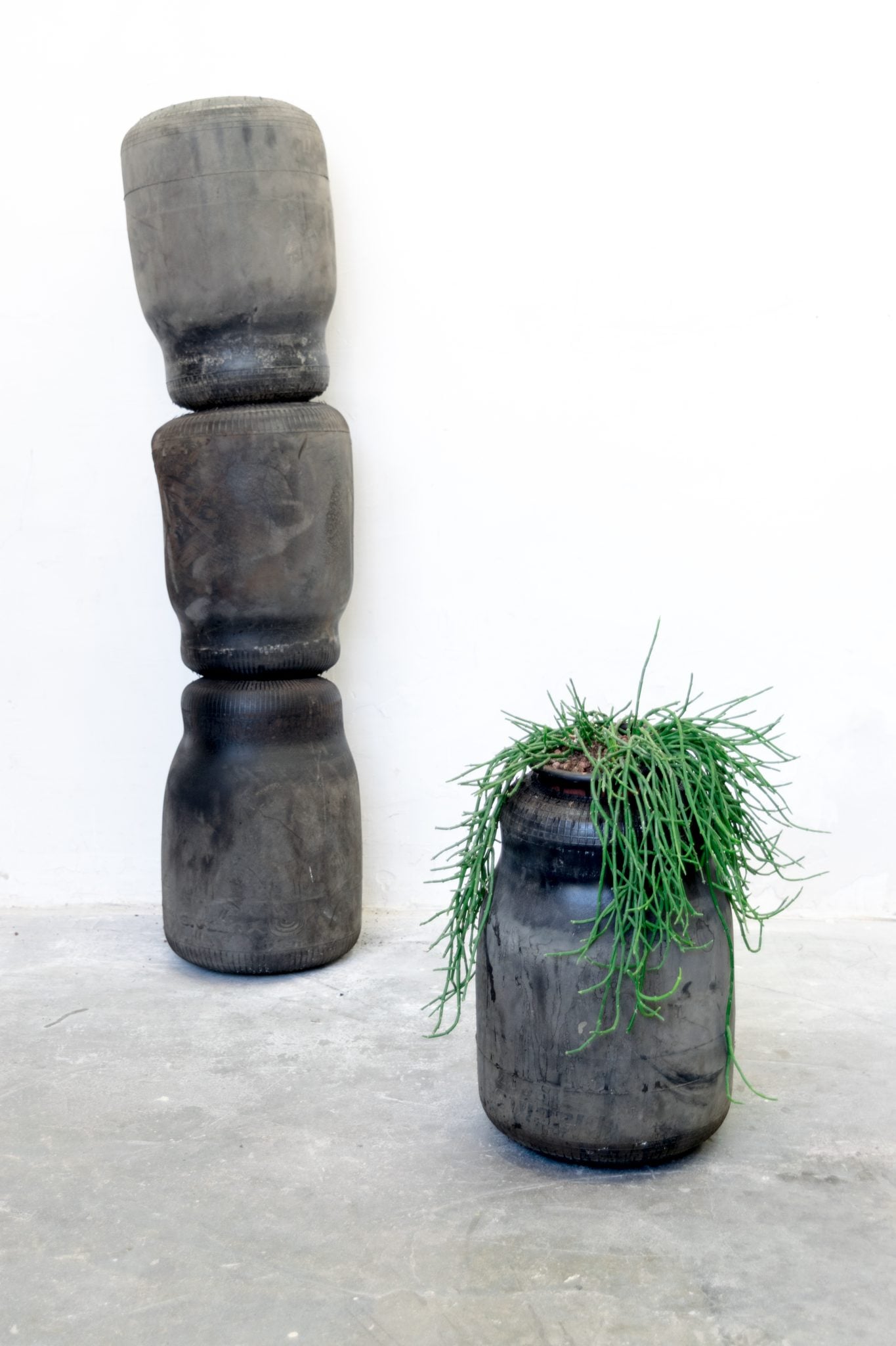 צילום: דניאל אלקיים