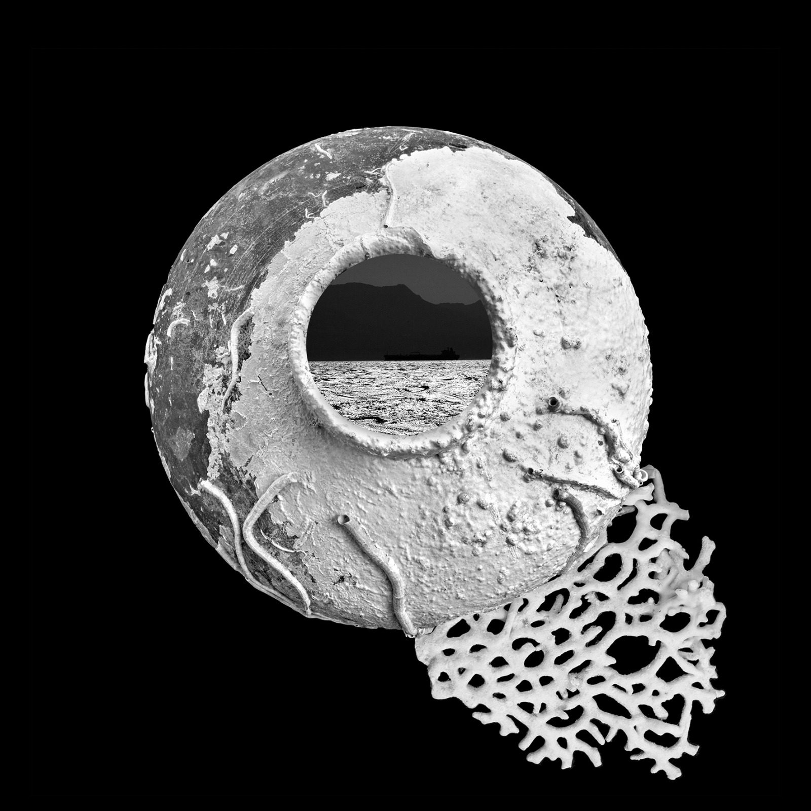 נועה בן נון מלמד