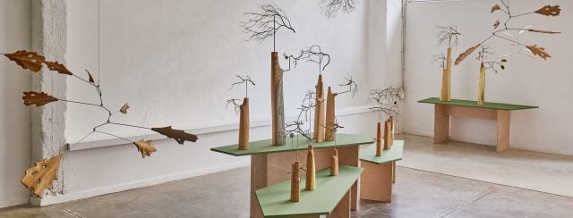 יובל בוכשטב, מאזן אקולוגי, גלריה B.Y5. צילומים: דן פרץ