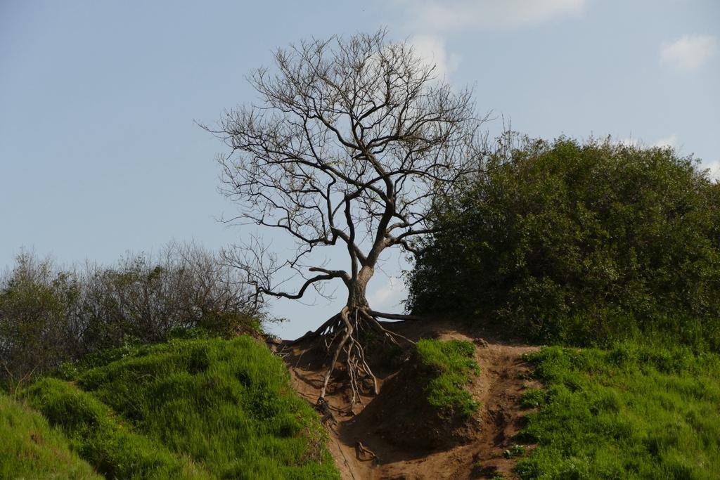 שהם חירורג באוניברסיטת תל אביב. צילומים: מ״ל