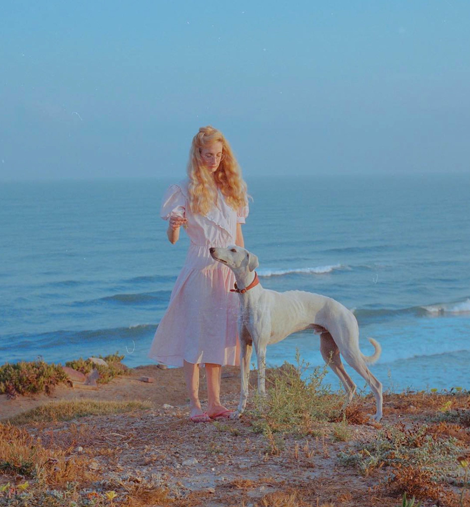 רעיה כהן והכלב תות. צילום: עמית אלקיים