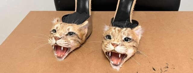 ראשי החיות של Animal Replicas לנעלים של סקיאפרלי. צילומים: מ״ל