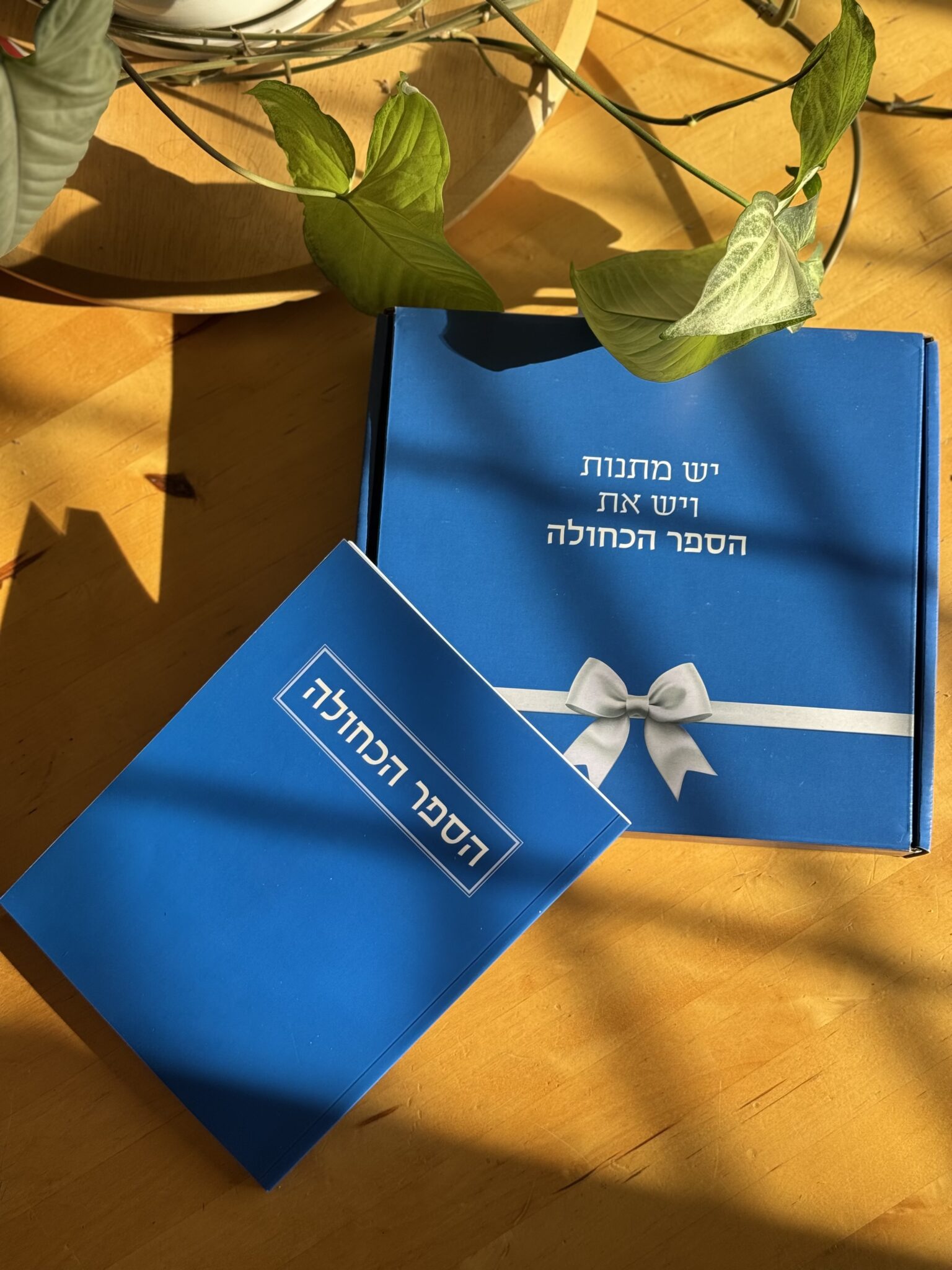 הספר הכחול. צילומים: מ״ל