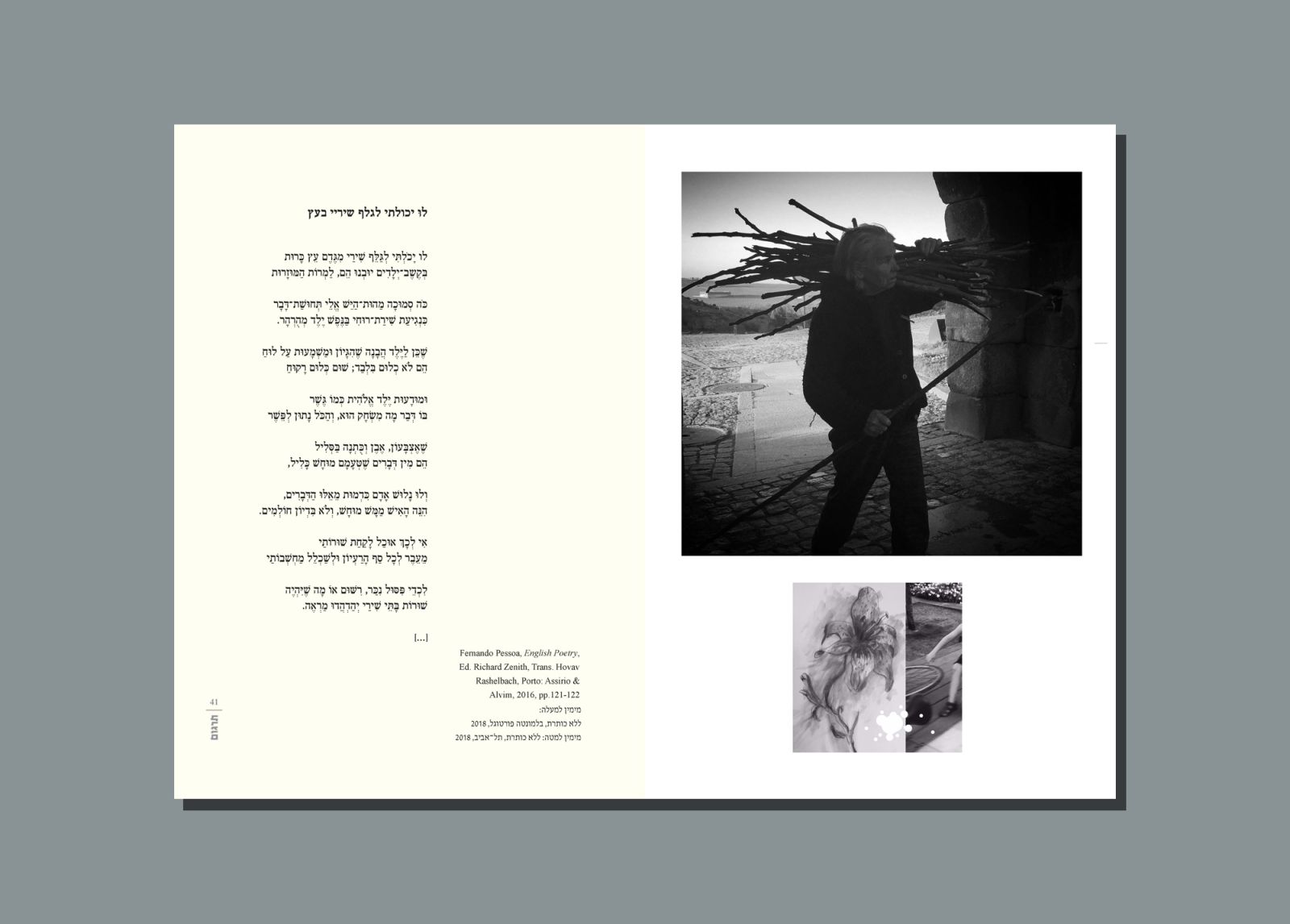 אלמנח: רשמים בעקבות פסואה