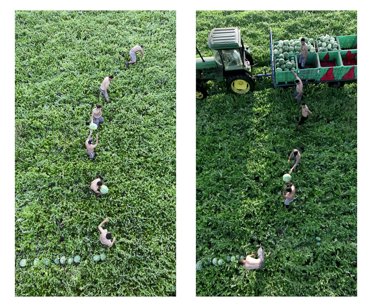 סיגלית לנדאו. סטילס מווידאו