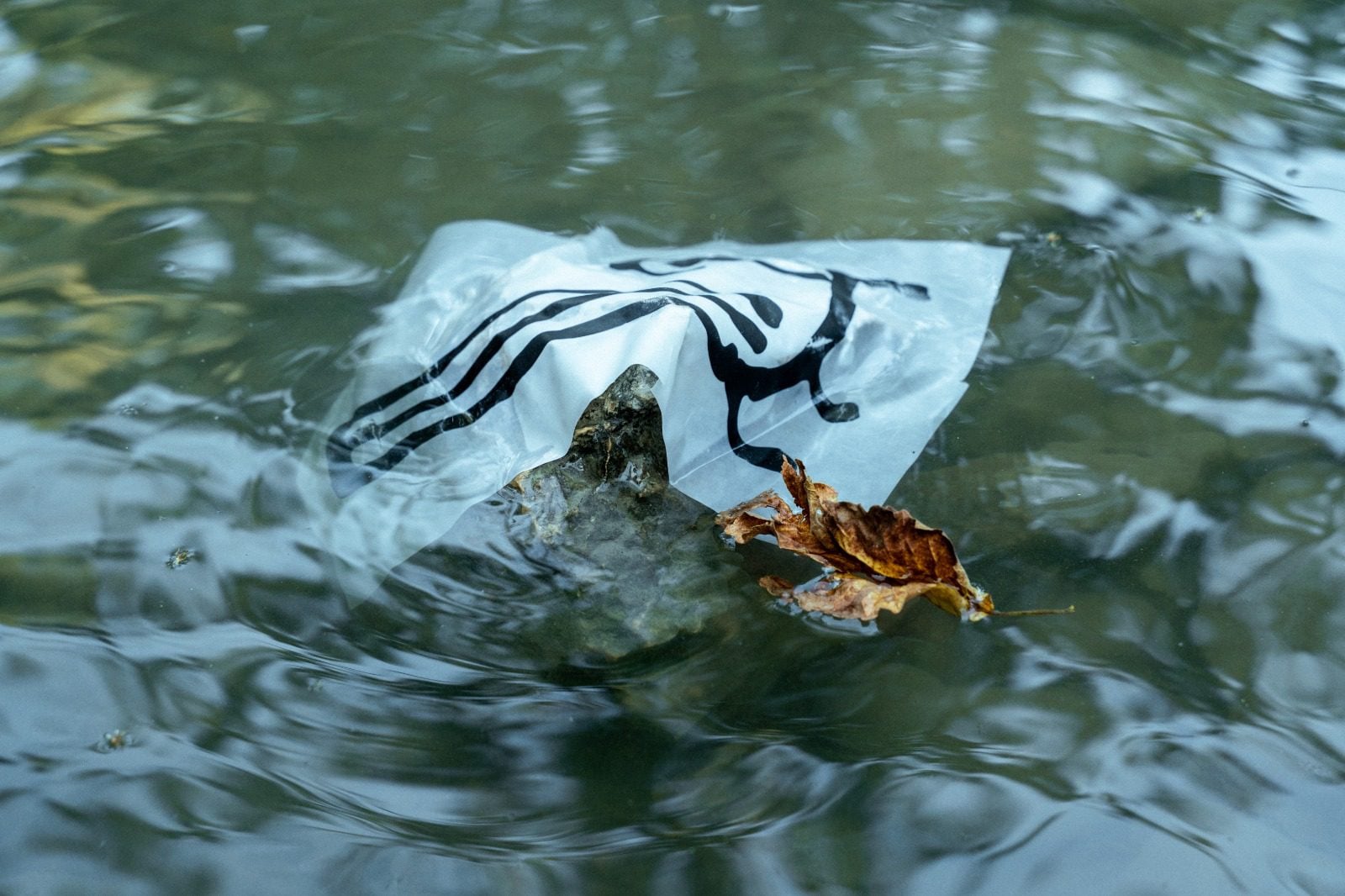 ליאורה לוי בגלריה אשכילה. צילומים: תומר חרובי, מ״ל
