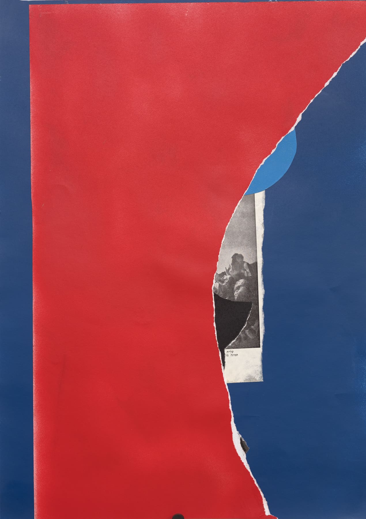 ציקי אייזנברג