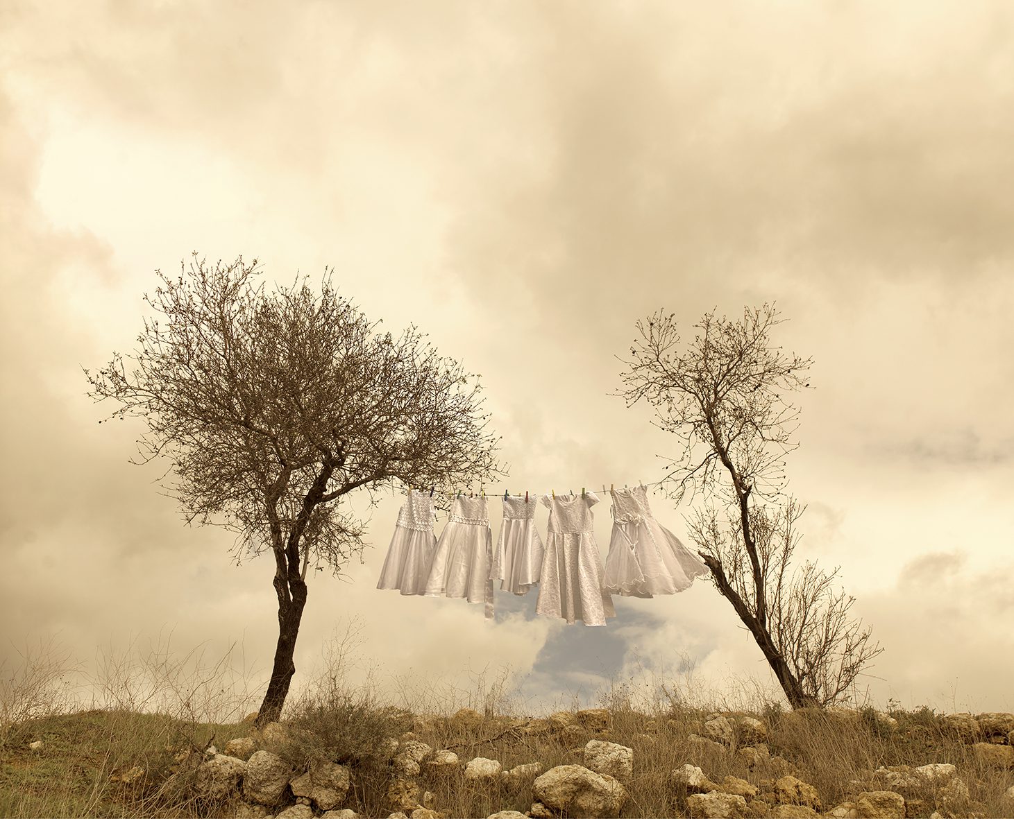 אנג׳ליקה שר, הקשר בין אדמה לשמים. מתוך התערוכה ״אנה אלך״
