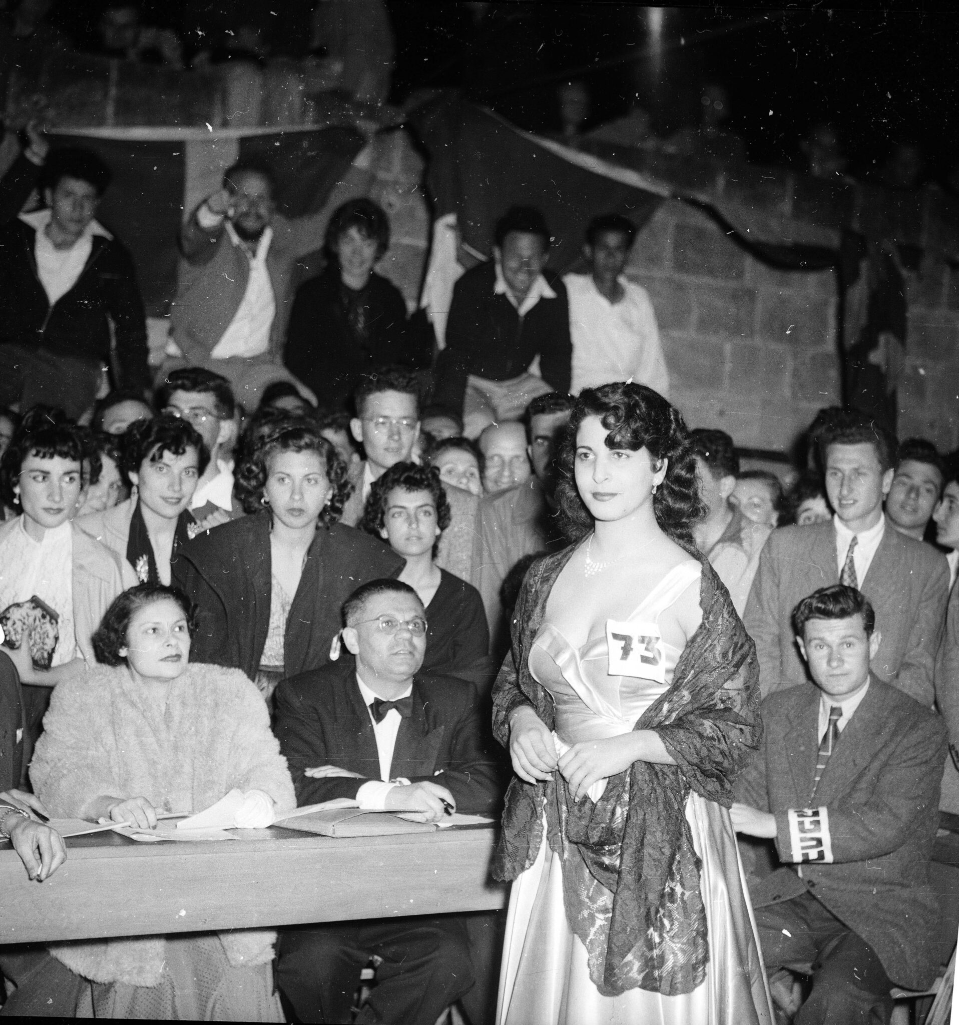 צילום: דוד רובינגר
