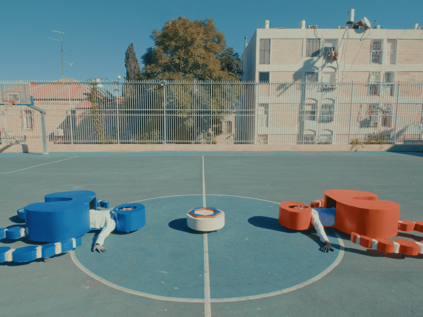דניאלה מרוז. צילום: אבי סימן טוב
