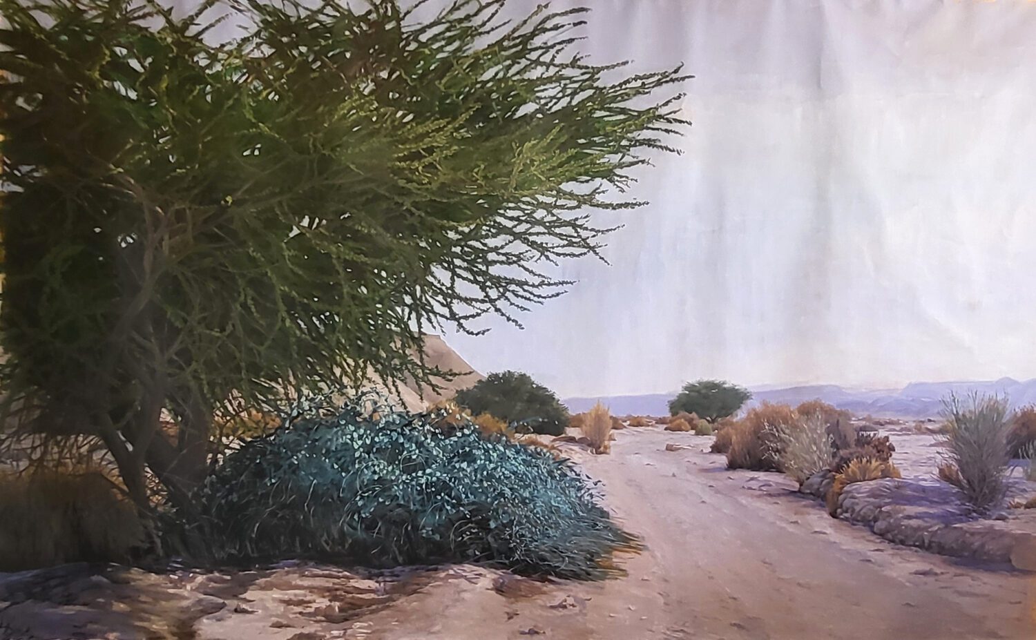 ליזה ג׳ני קריג בנגריה ביד מרדכי. צילום: מ״ל