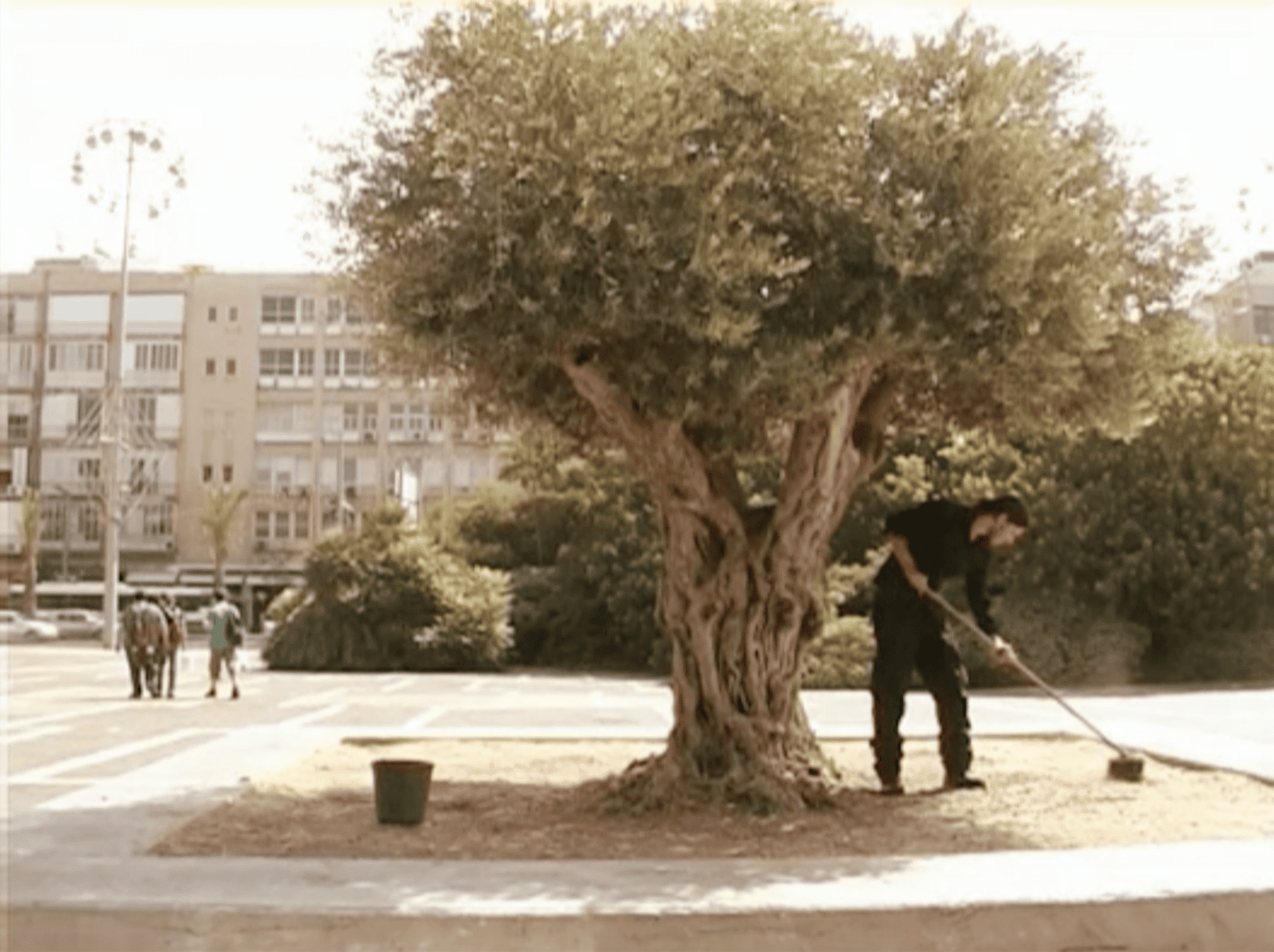 ראפת חטאב, בידון עונוואן (ללא כותרת)