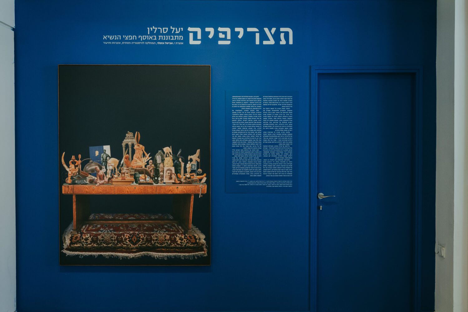 תצריפים ביד בן צבי. צילומים: מיטל איזיבצקי