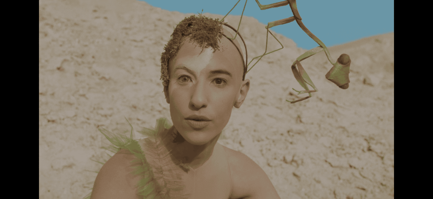 Beautiful Rainbow. צילומים: מידן ארמה