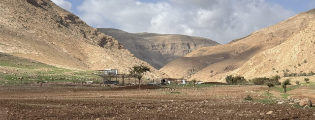 צילומים: מאיה הד