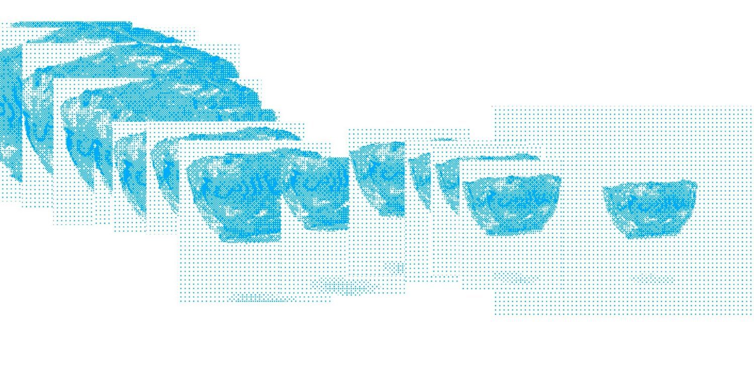 נדב פיינר. צילומים: מ״ל