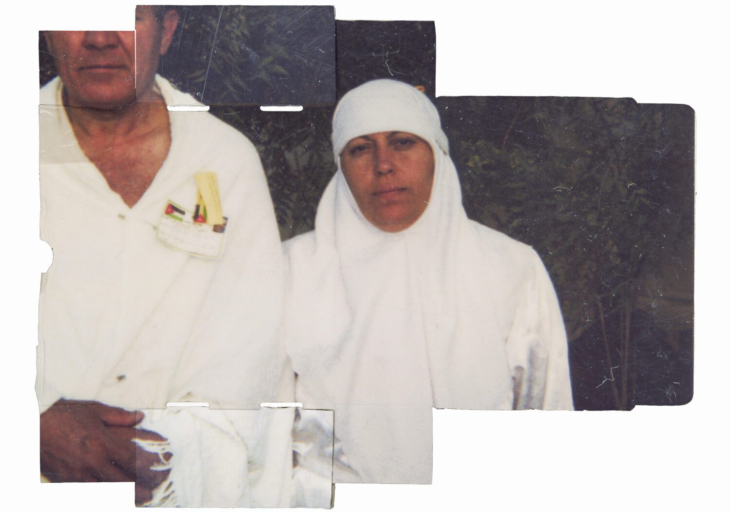תיתא. צילומים: מ״ל