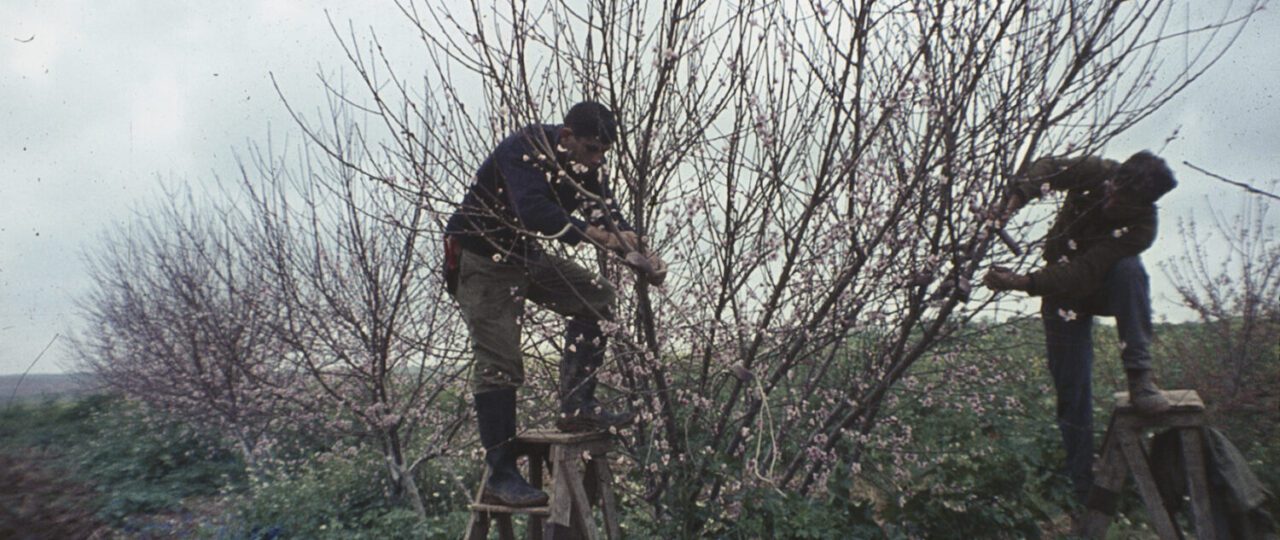 הזורעים בדמעה בבית האופרה. צילומים: ארכיון בארי