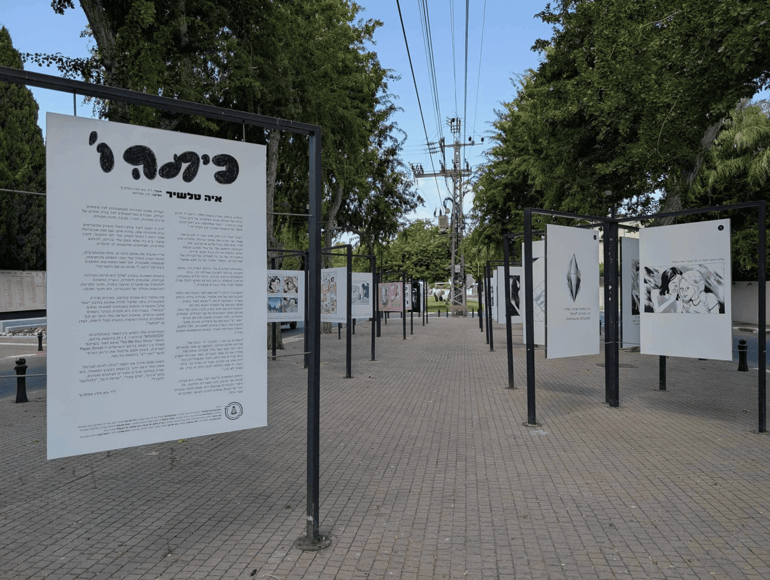 איה טלשיר בגלריית החוצות ברמת השרון. צילומים: מ״ל