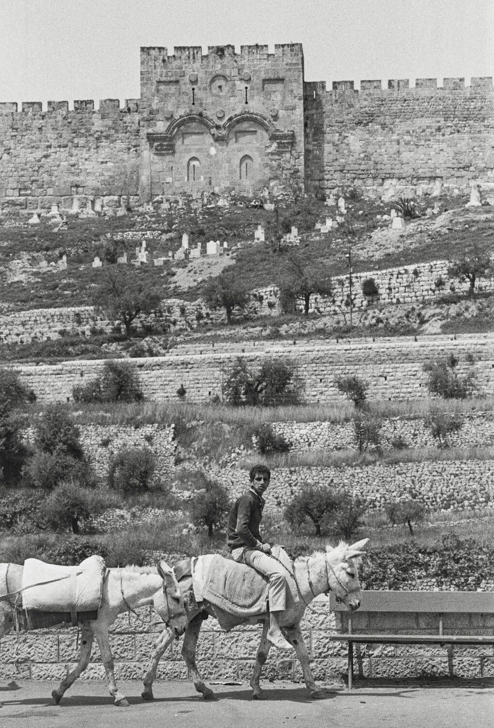 שער הרחמים, 1974
